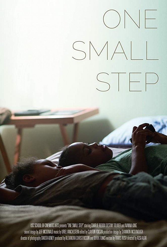 One Small Step - Affiches