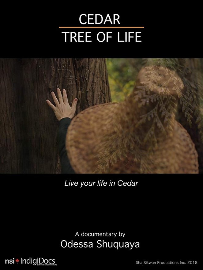 Cedar Tree of Life - Plakate