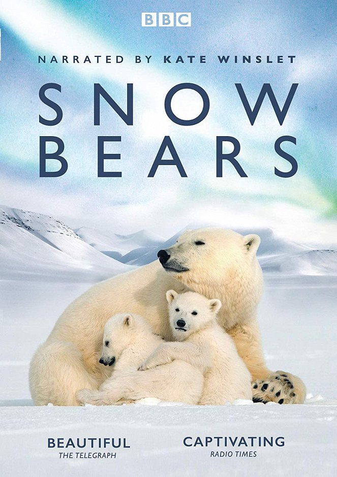 Medvíďata na sněhu - Plakáty