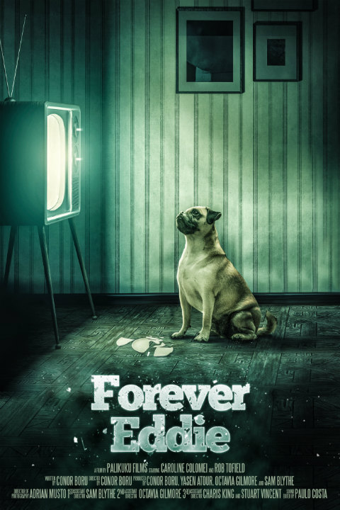 Forever Eddie - Plakate