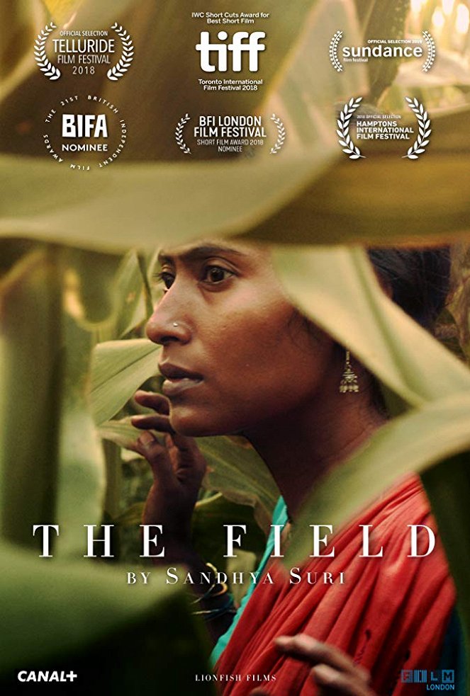 The Field - Posters