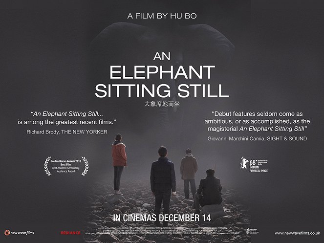 An Elephant Sitting Still - Posters