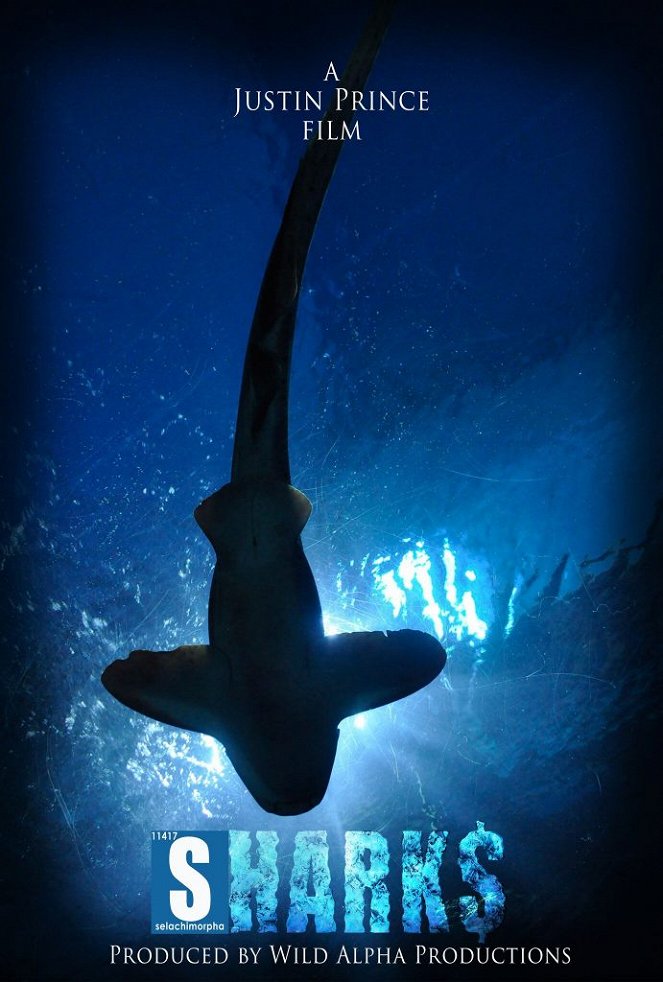 Shark$: The Scientific & Economic Impact of Sharks in Florida - Cartazes