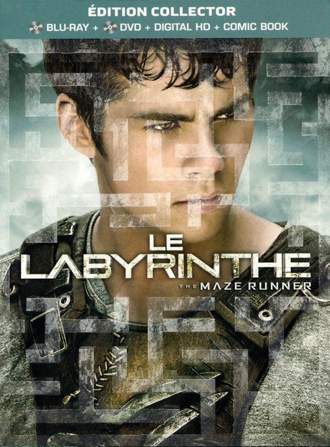 Le Labyrinthe - Affiches