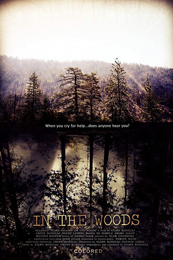 In the Woods - Affiches