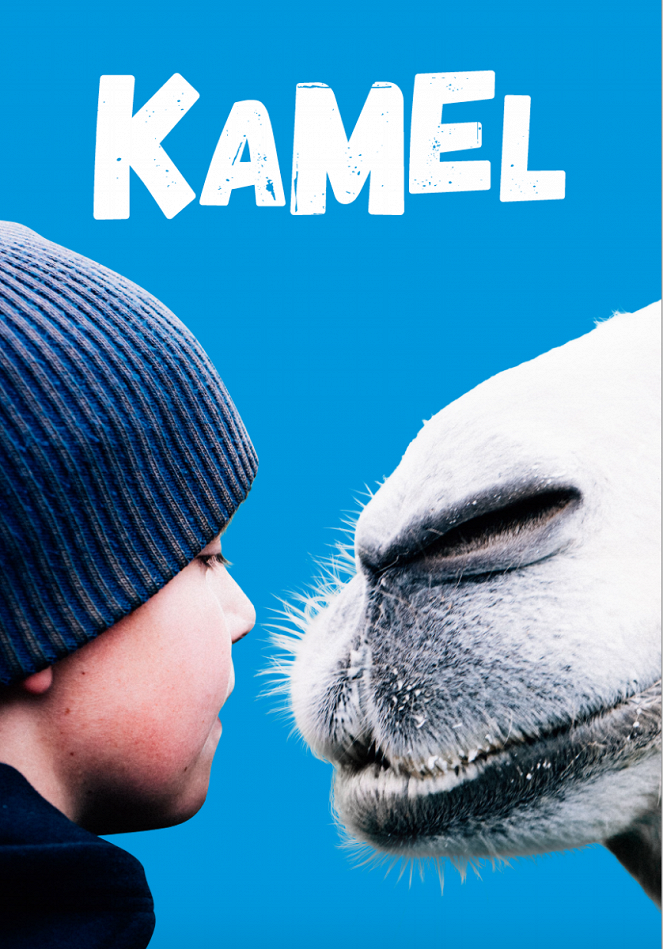 Bur und Bestla - 2 Kamele am Polarkreis - Plakate