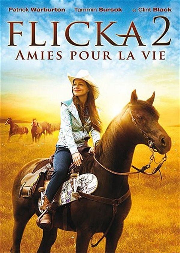 Flicka 2 : Amies pour la vie - Affiches