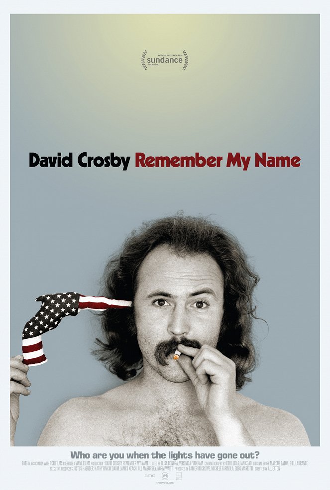 David Crosby: Remember My Name - Plakáty