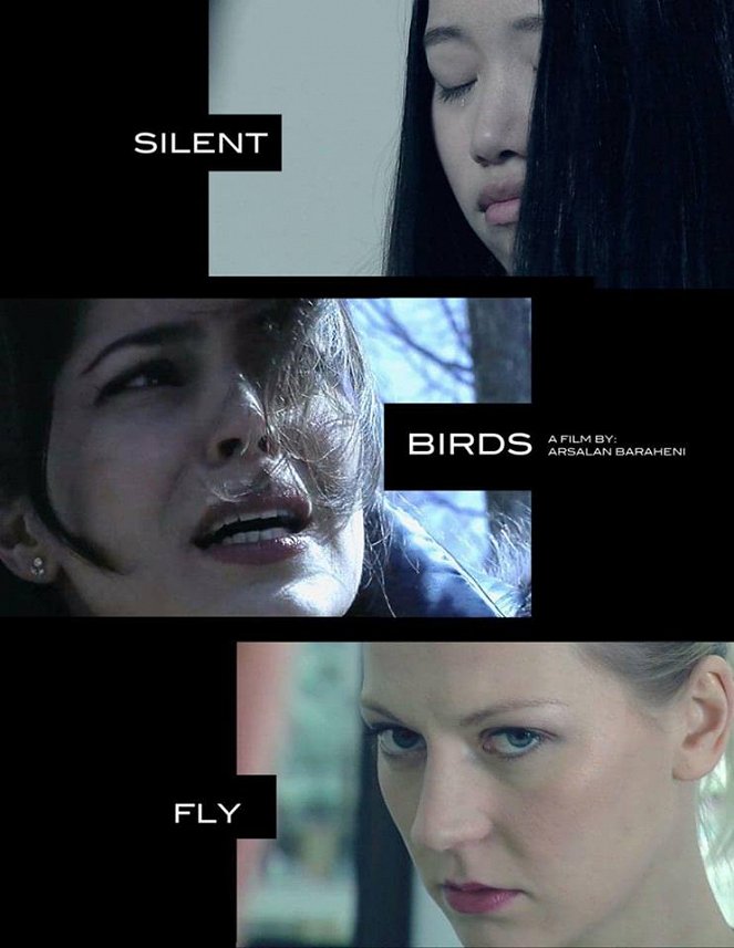 Silent Birds Fly - Carteles