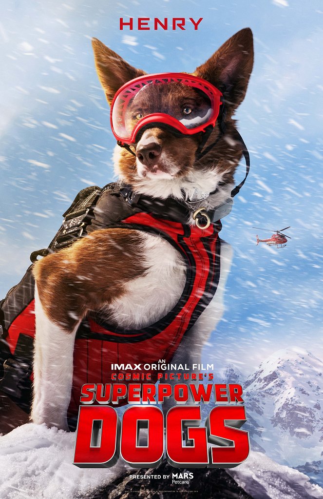 Super chiens - Affiches