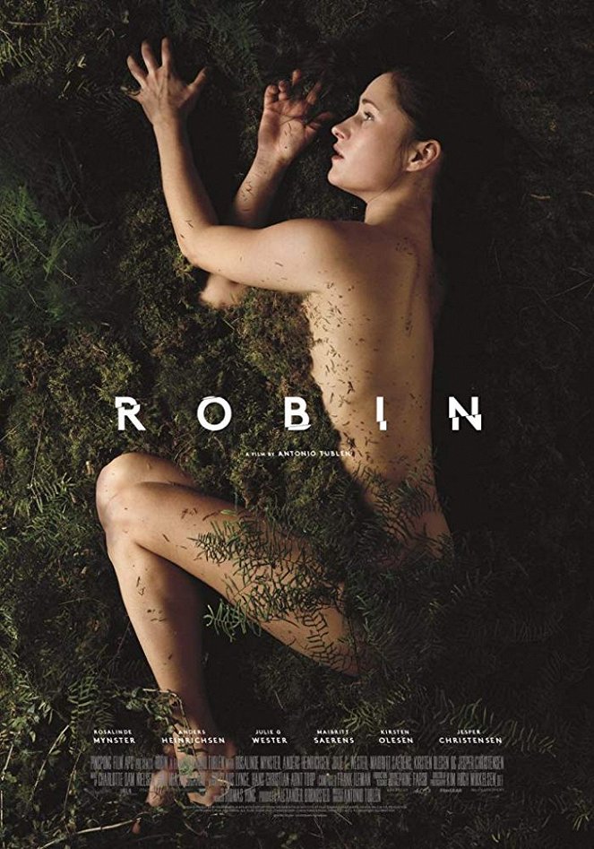 Robin - Posters