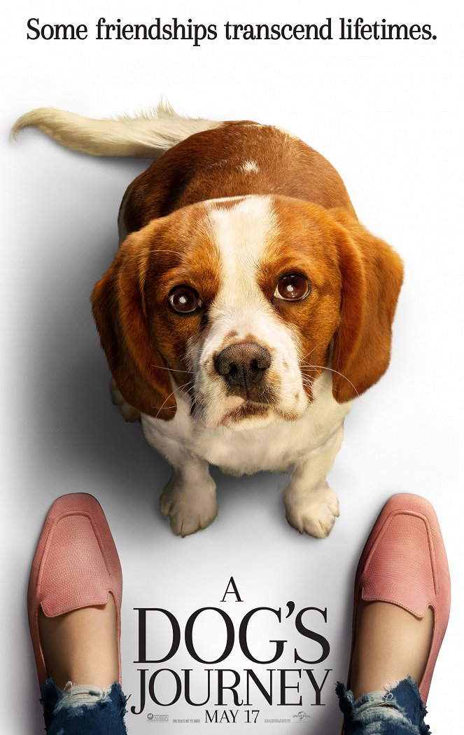 Bailey - Ein Hund kehrt zurück - Plakate