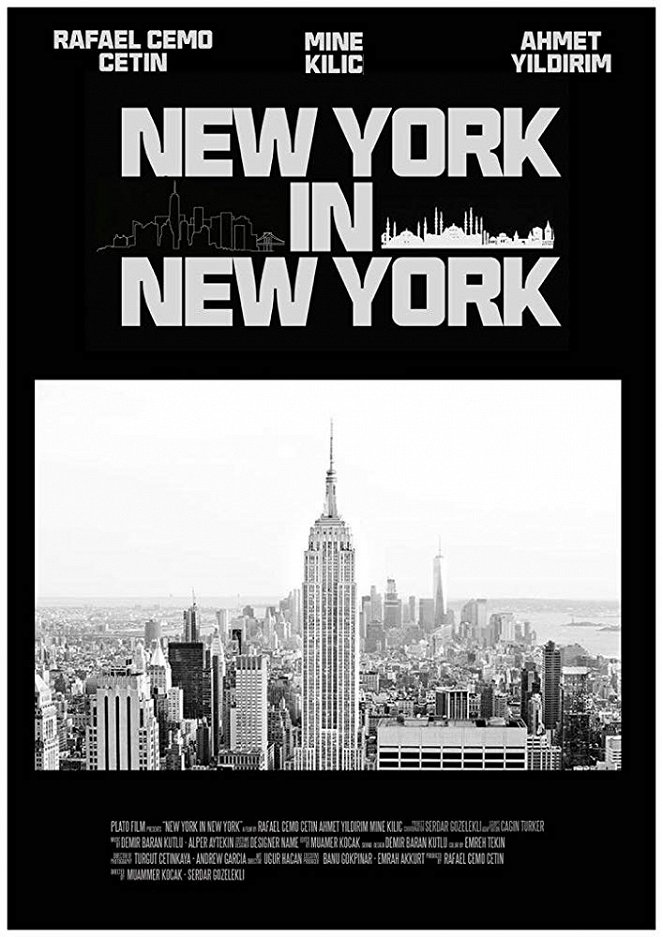 New York in New York - Julisteet
