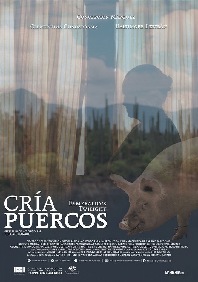 Cría puercos - Affiches