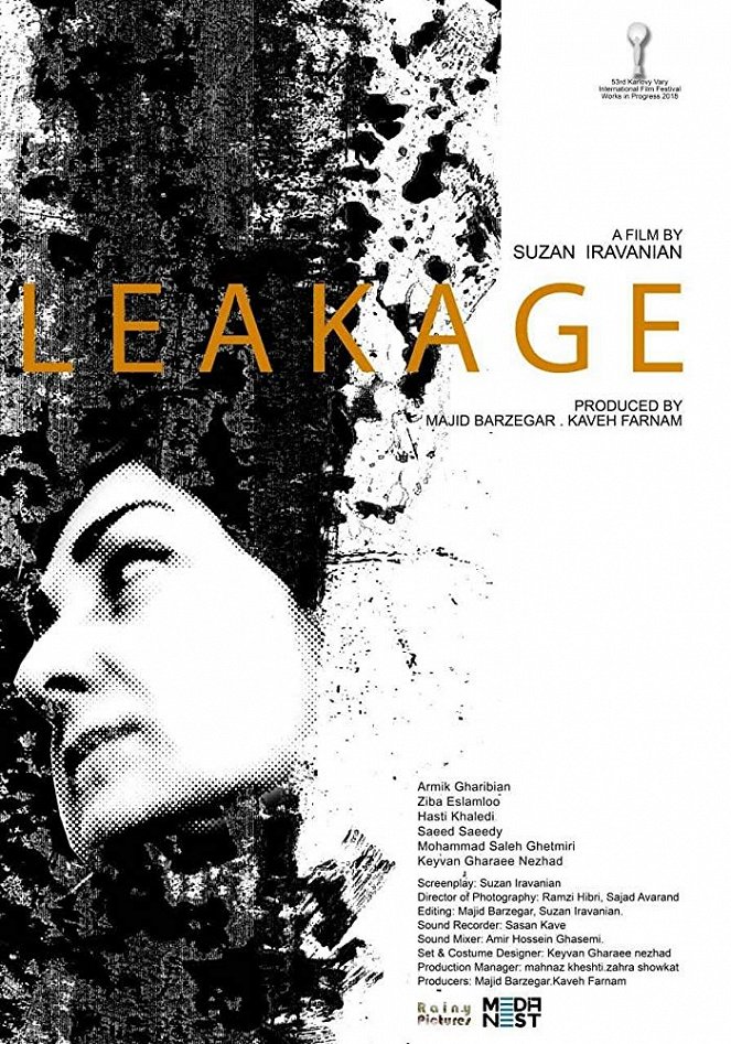 Leakage - Posters