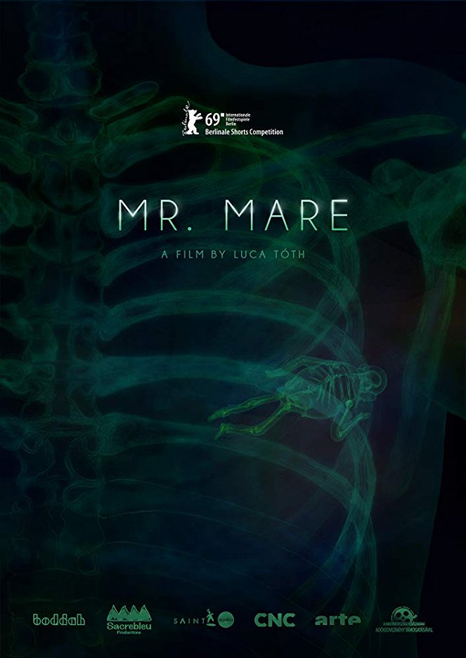 Mr. Mare - Posters