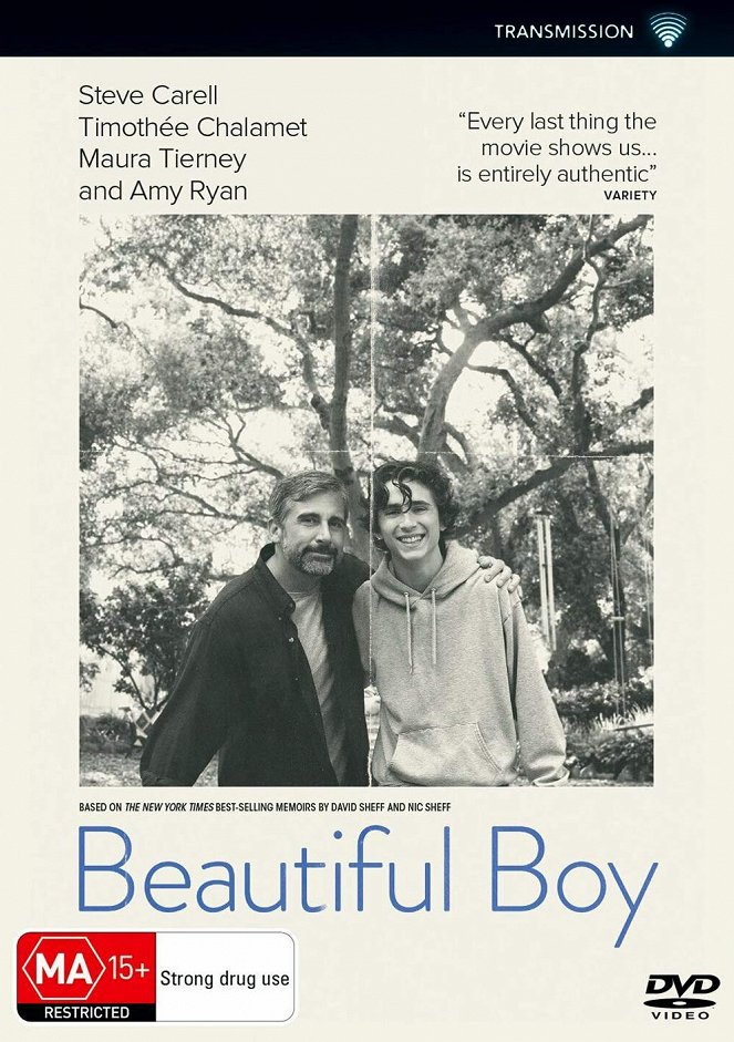 Beautiful Boy - Posters