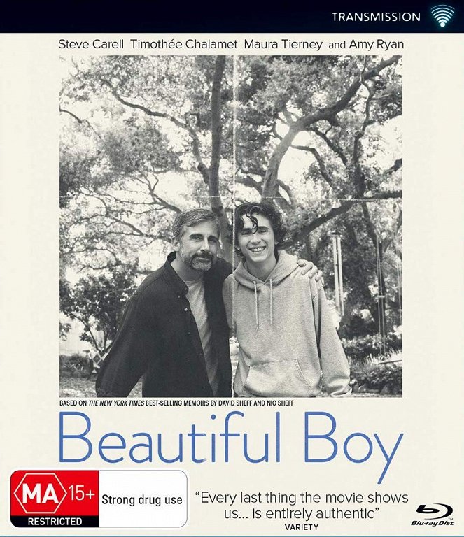 Beautiful Boy - Posters