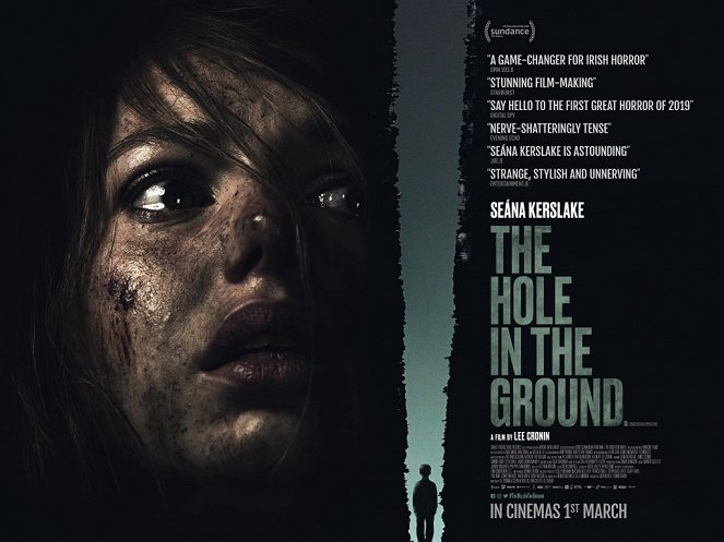 The Hole in the Ground - Plakáty