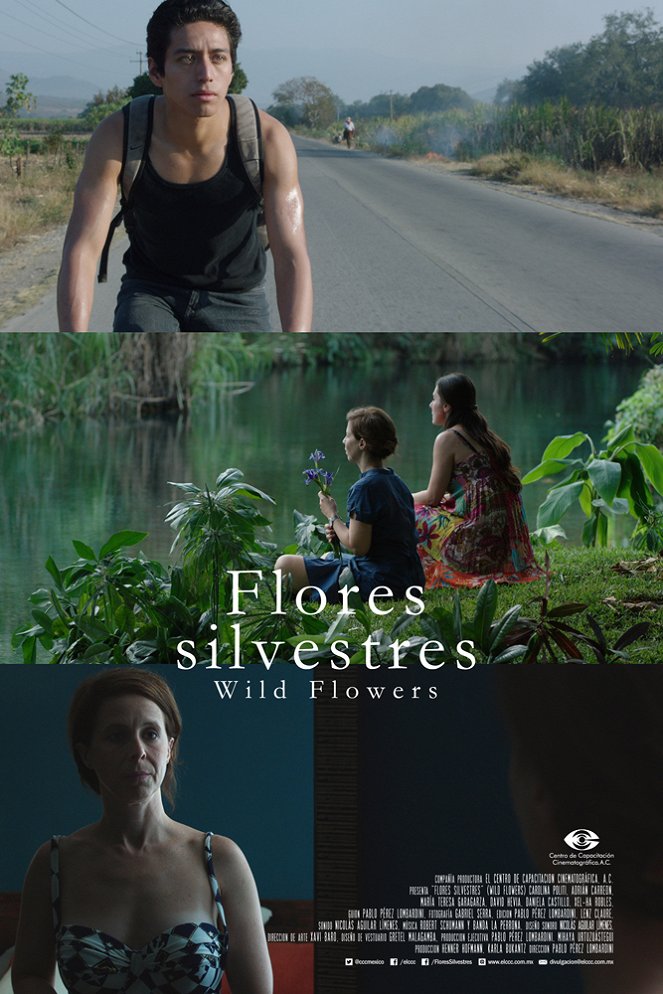 Flores silvestres - Plakate