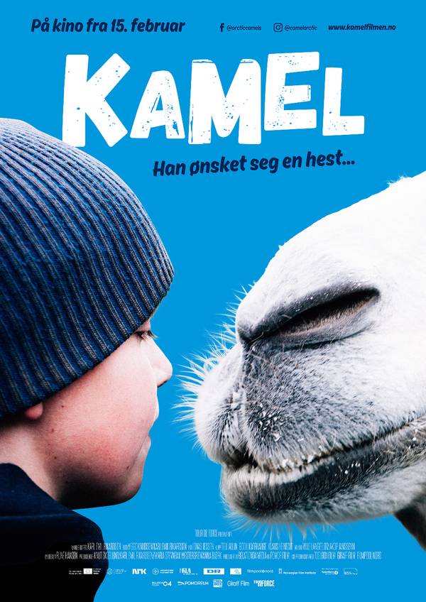 The Arctic Camels - Posters