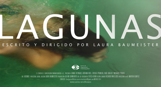 Lagunas - Posters
