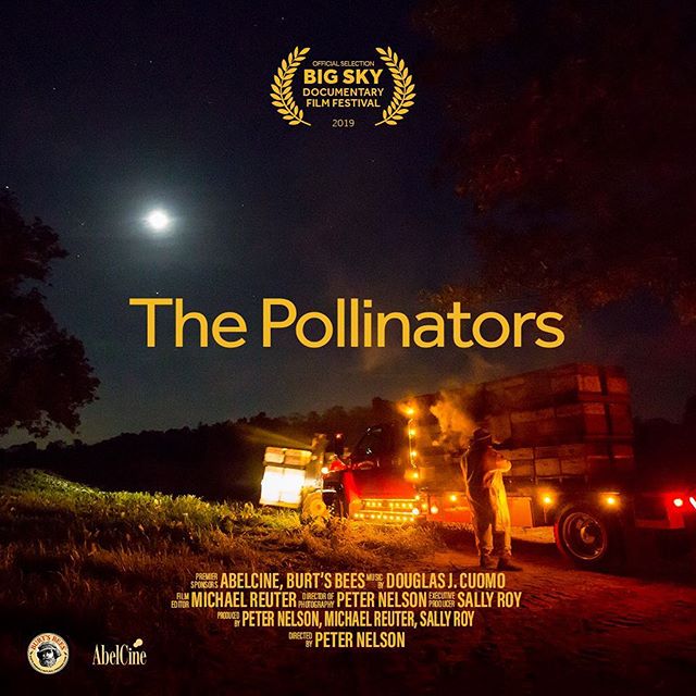 The Pollinators - Carteles