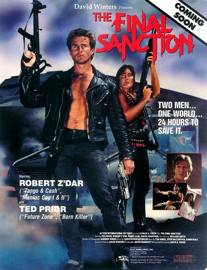 The Final Sanction - Posters