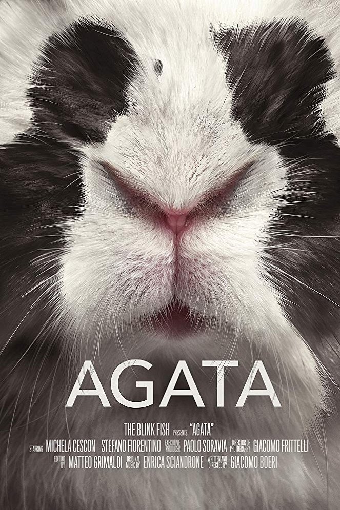 Agata - Plagáty