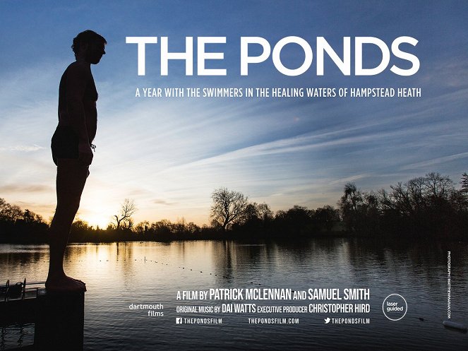 The Ponds - Carteles