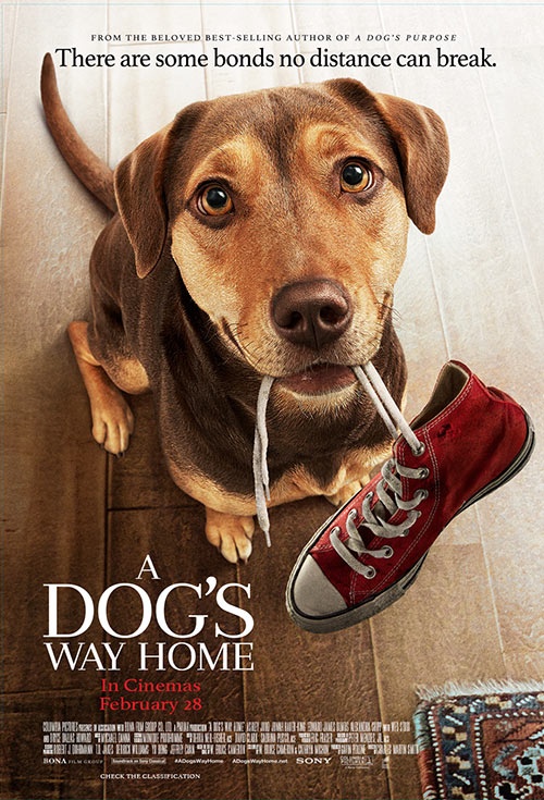 A Dog's Way Home - Posters