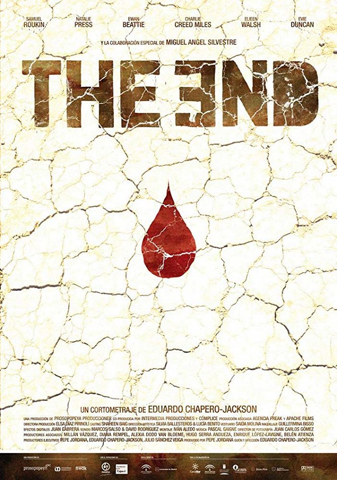 The End - Posters