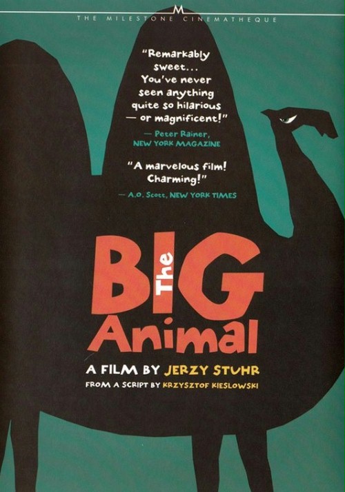 Duże zwierzę - Plakate