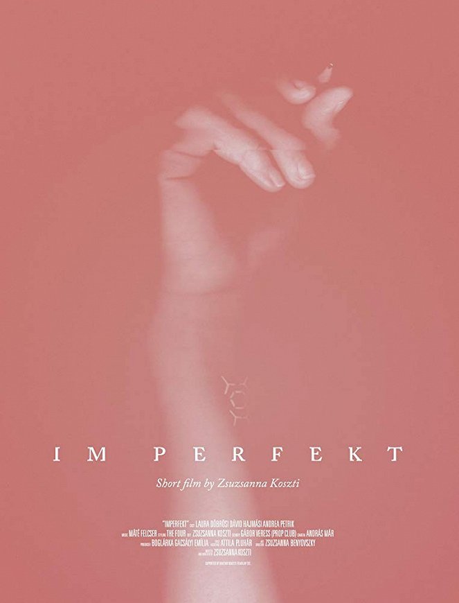 IM perfekt - Posters