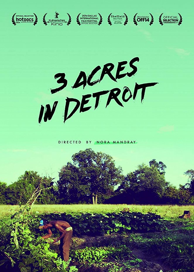 3 Acres in Detroit - Carteles
