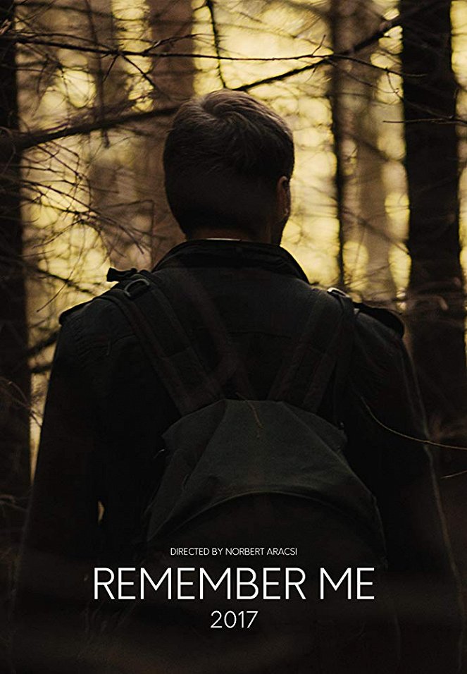 Remember Me - Affiches