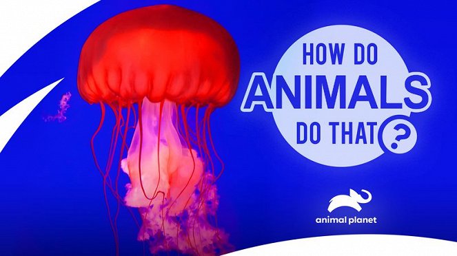 How Do Animals Do That? - Plakaty