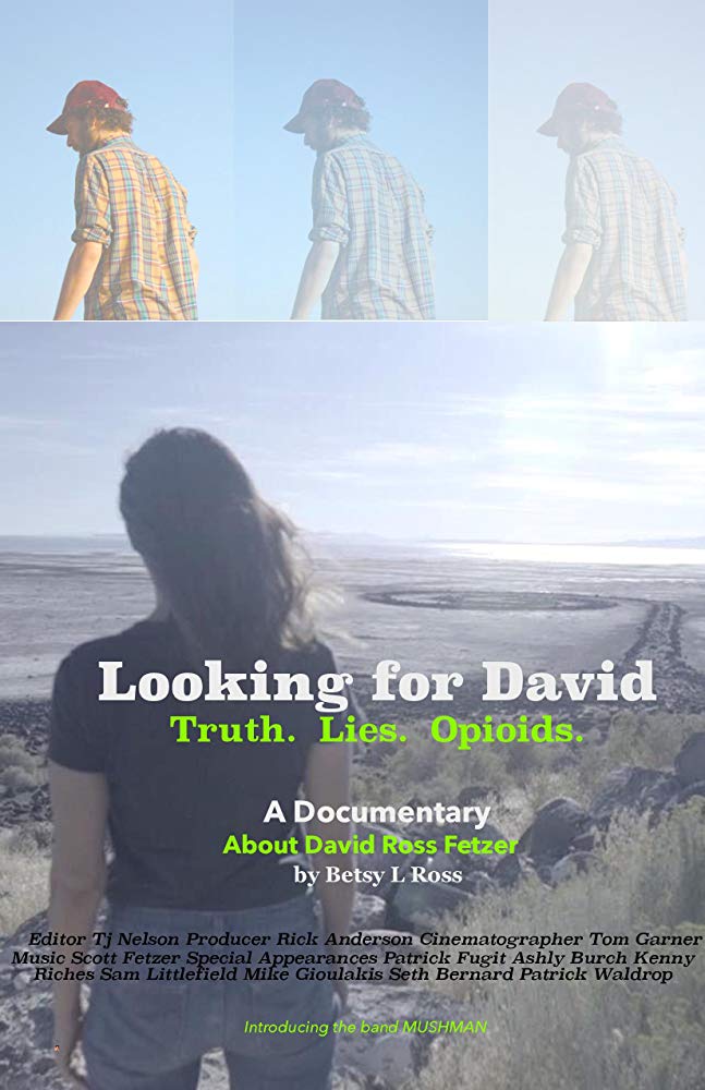 Looking for David - Affiches