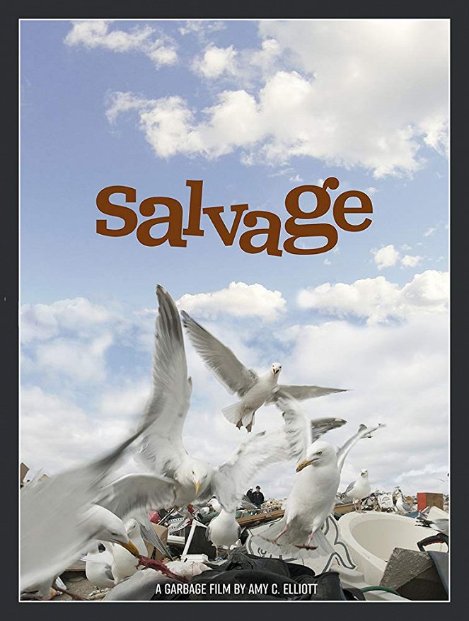 Salvage - Carteles