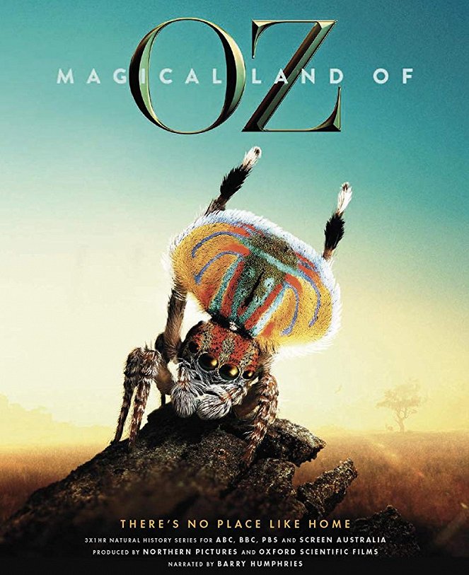 Magical Land of Oz - Affiches