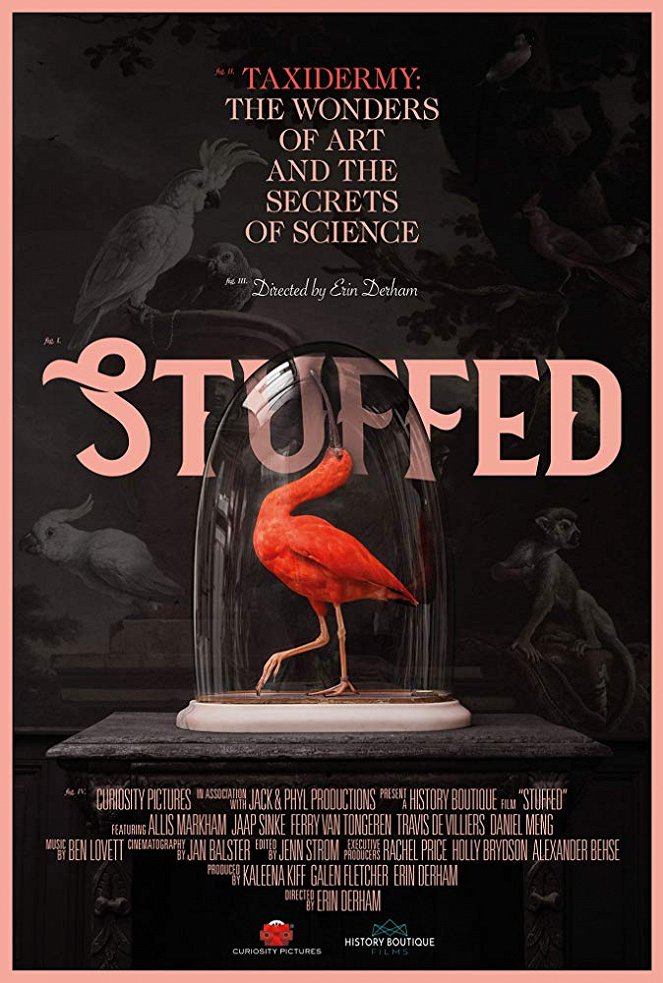 Stuffed - Affiches