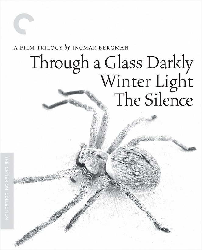 Through a Glass Darkly - Posters