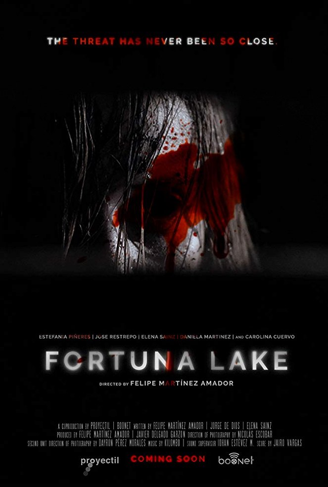 Fortuna Lake - Affiches