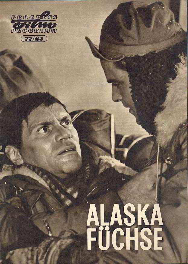 Alaskafüchse - Posters