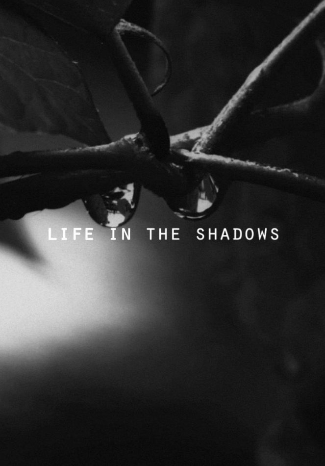 Life in the Shadows - Affiches