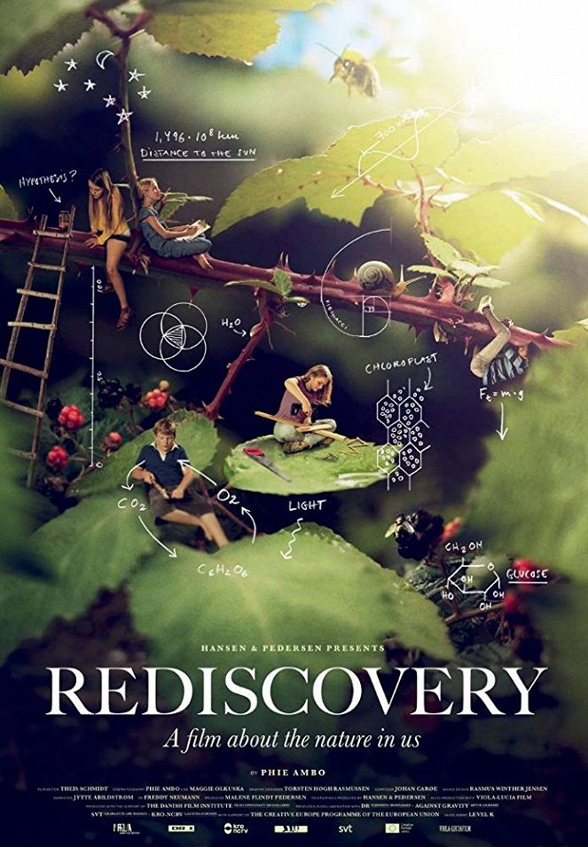 Rediscovery - Posters