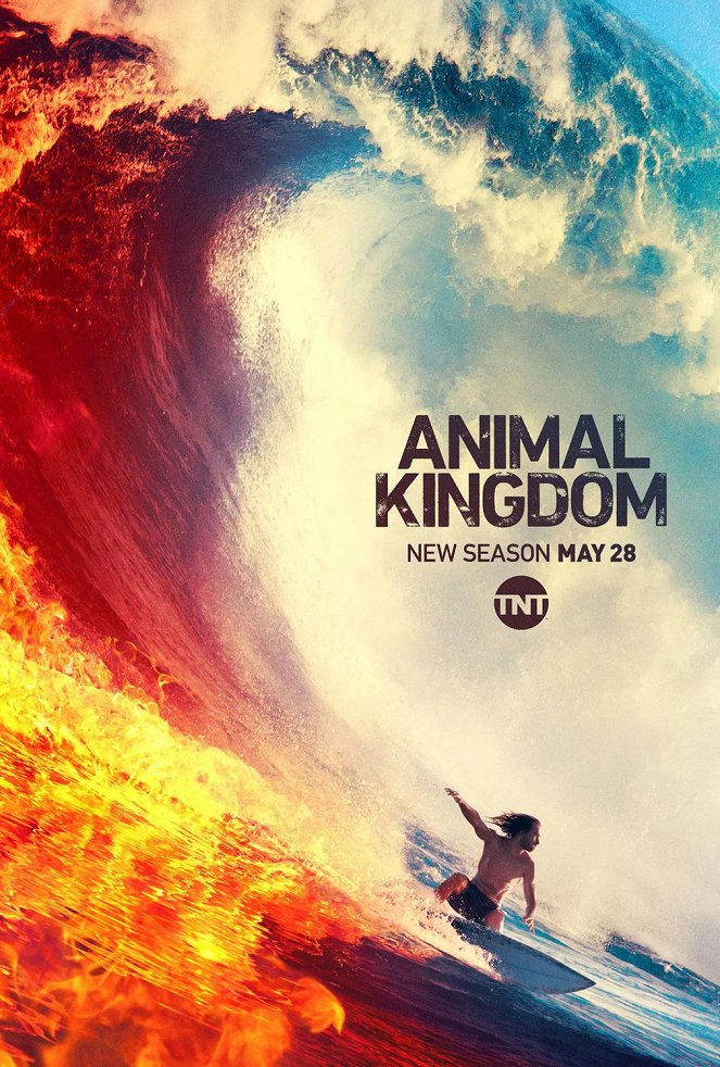 Animal Kingdom - Animal Kingdom - Season 4 - Julisteet