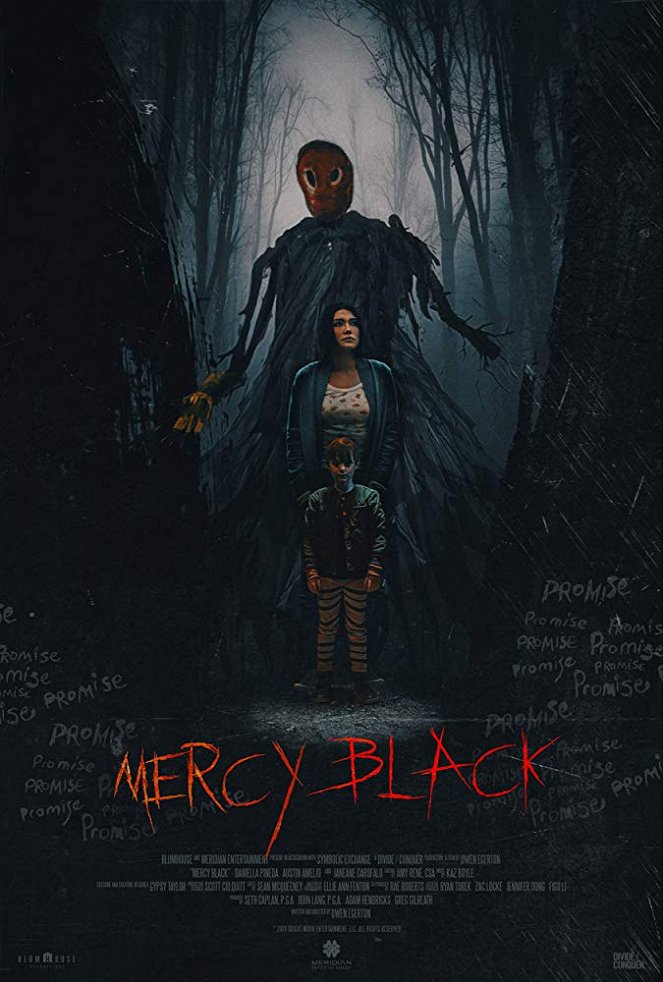 La posesión de Mercy Black - Carteles