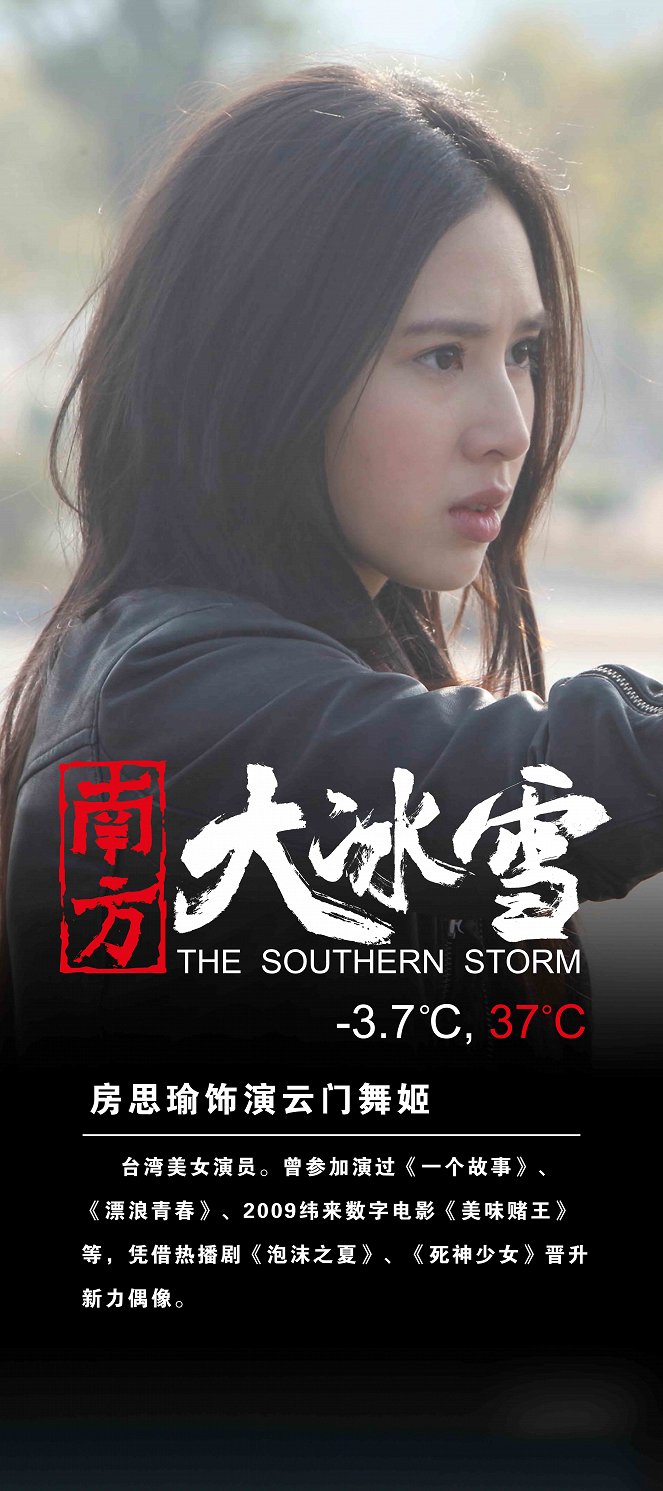 The Southern Storm - Carteles