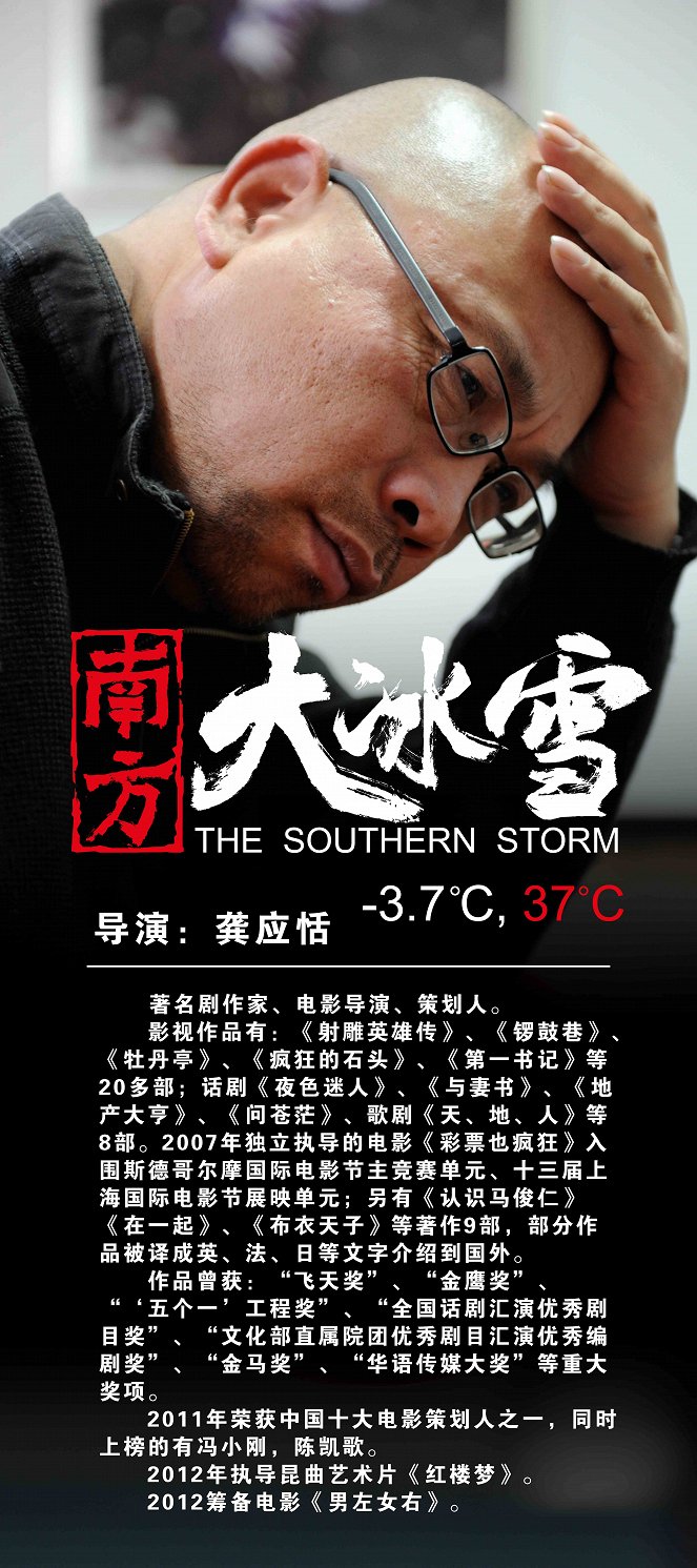 The Southern Storm - Plakate